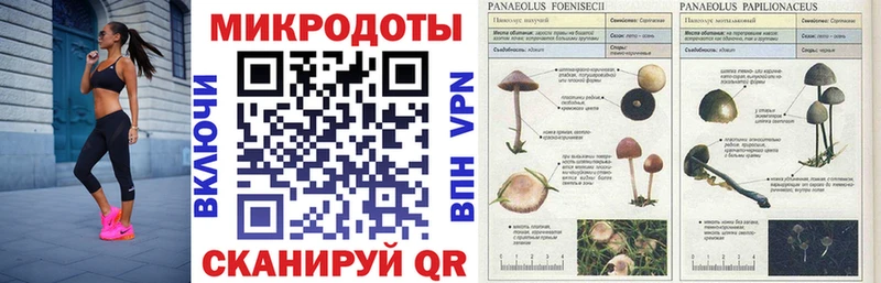 где купить наркоту  ссылка на мегу как войти  Галлюциногенные грибы Cubensis  Реж 